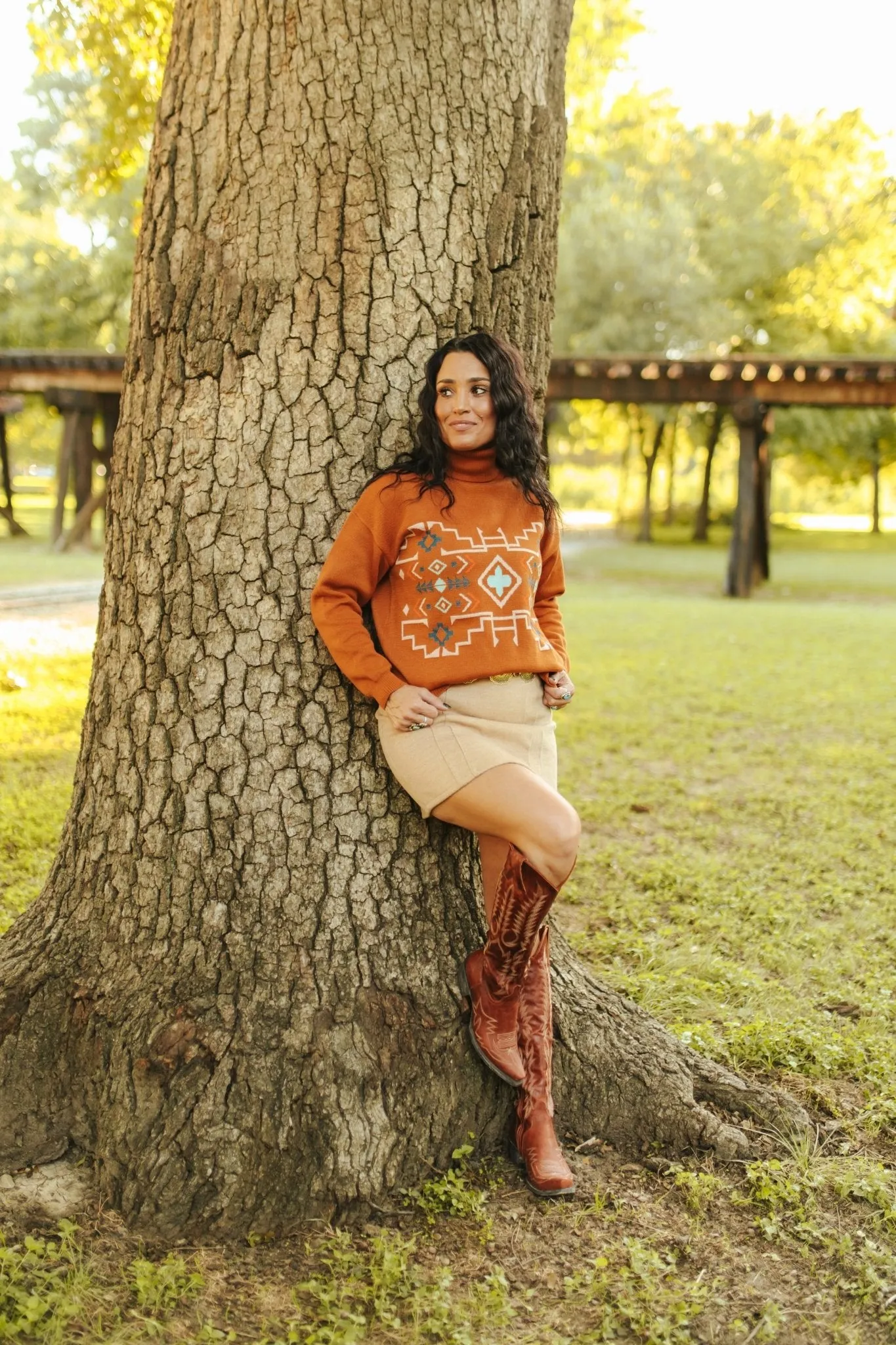 Brown Aztec Turtleneck Sweater