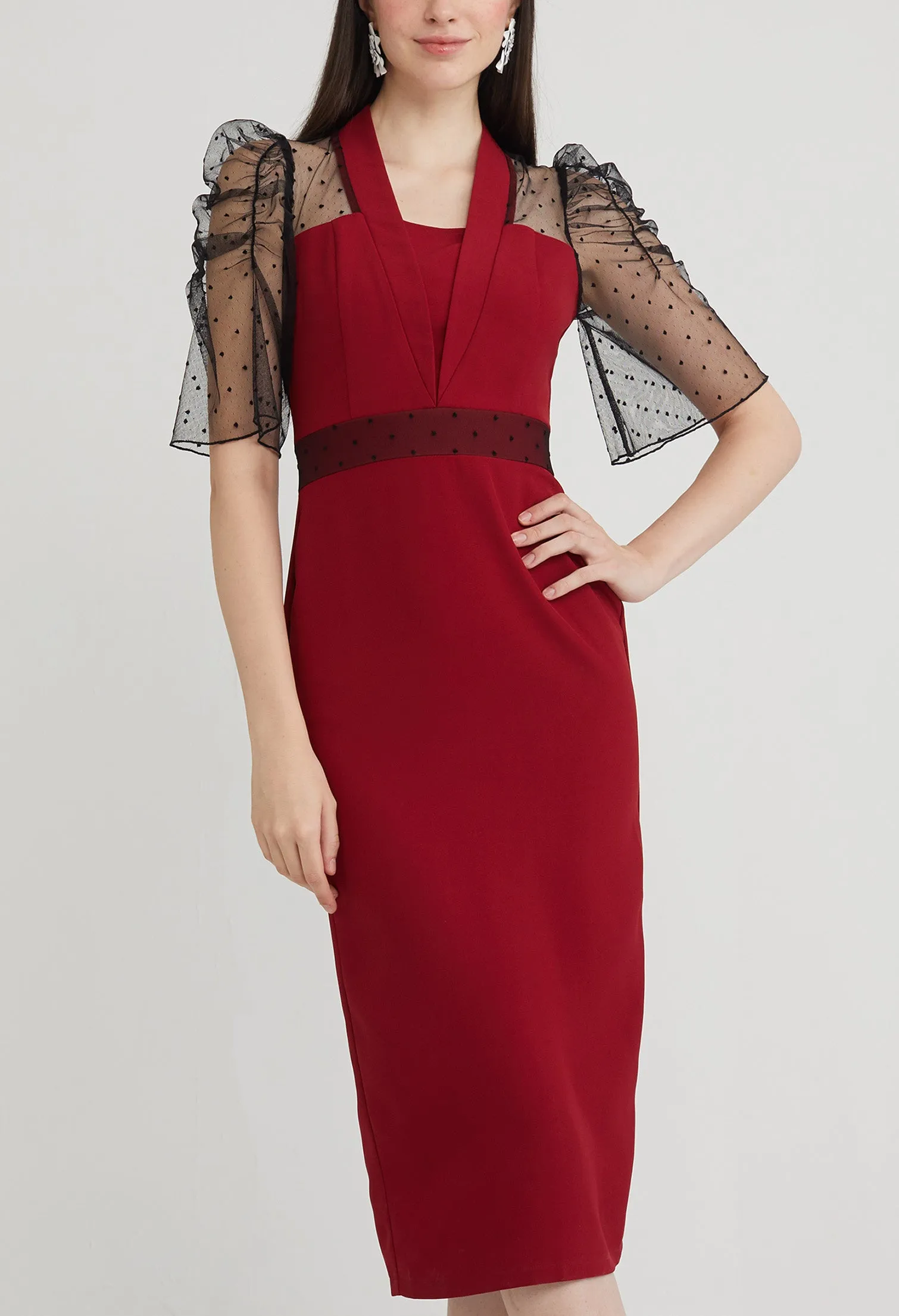 Cocktail Sheer Sleeve Midi Dress