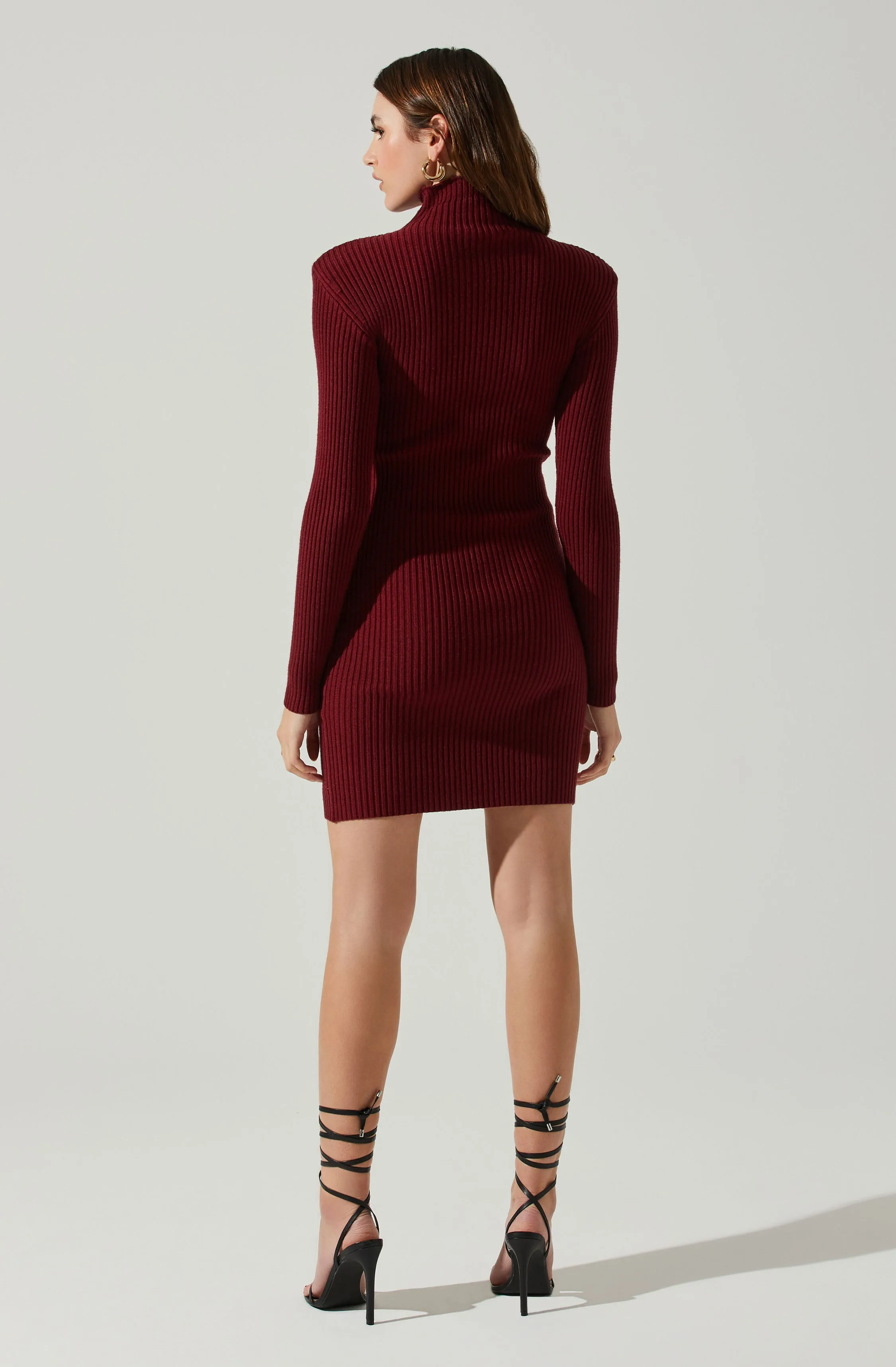 Gwendolyn Turtleneck Sweater Mini Dress