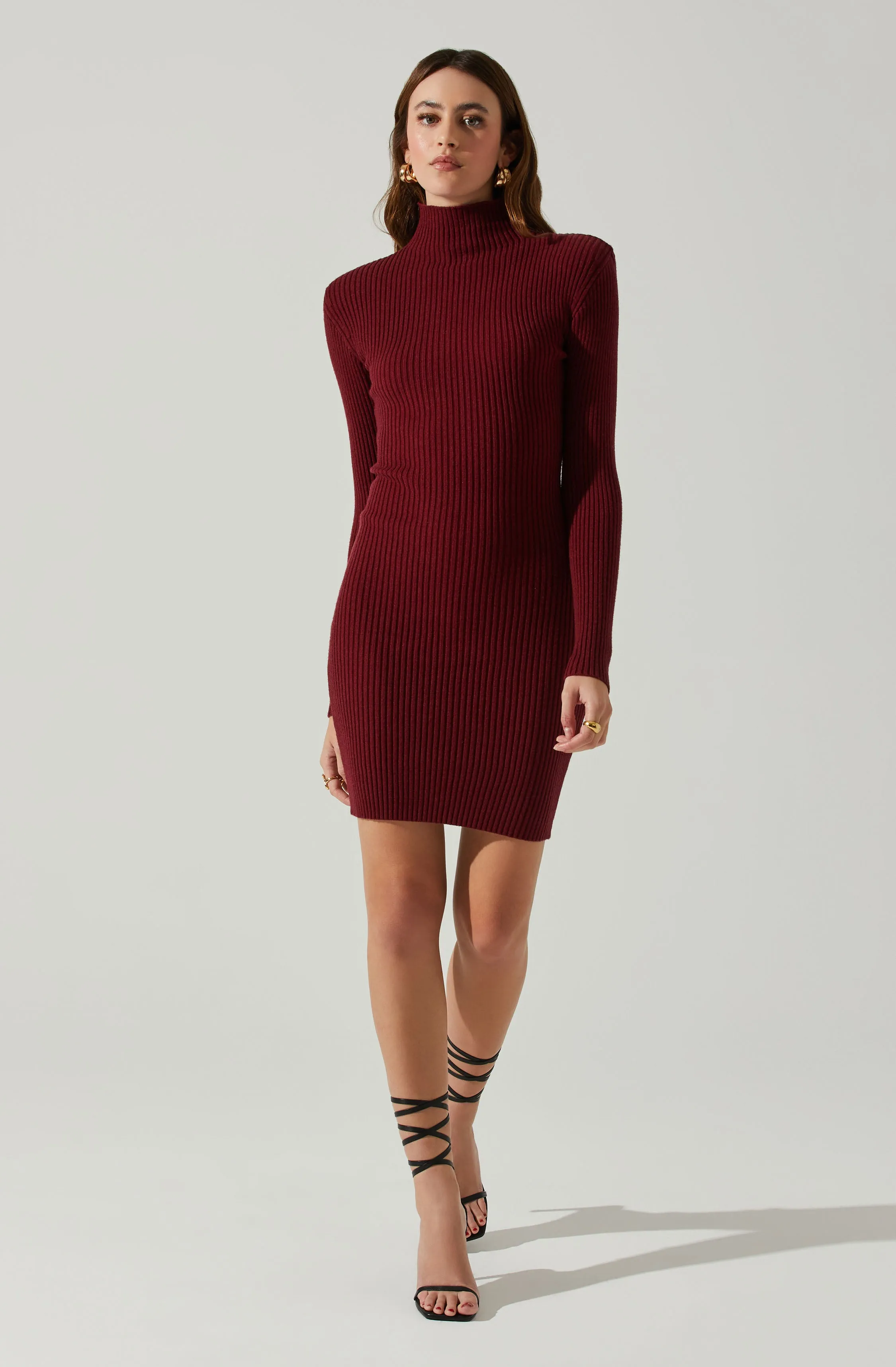 Gwendolyn Turtleneck Sweater Mini Dress