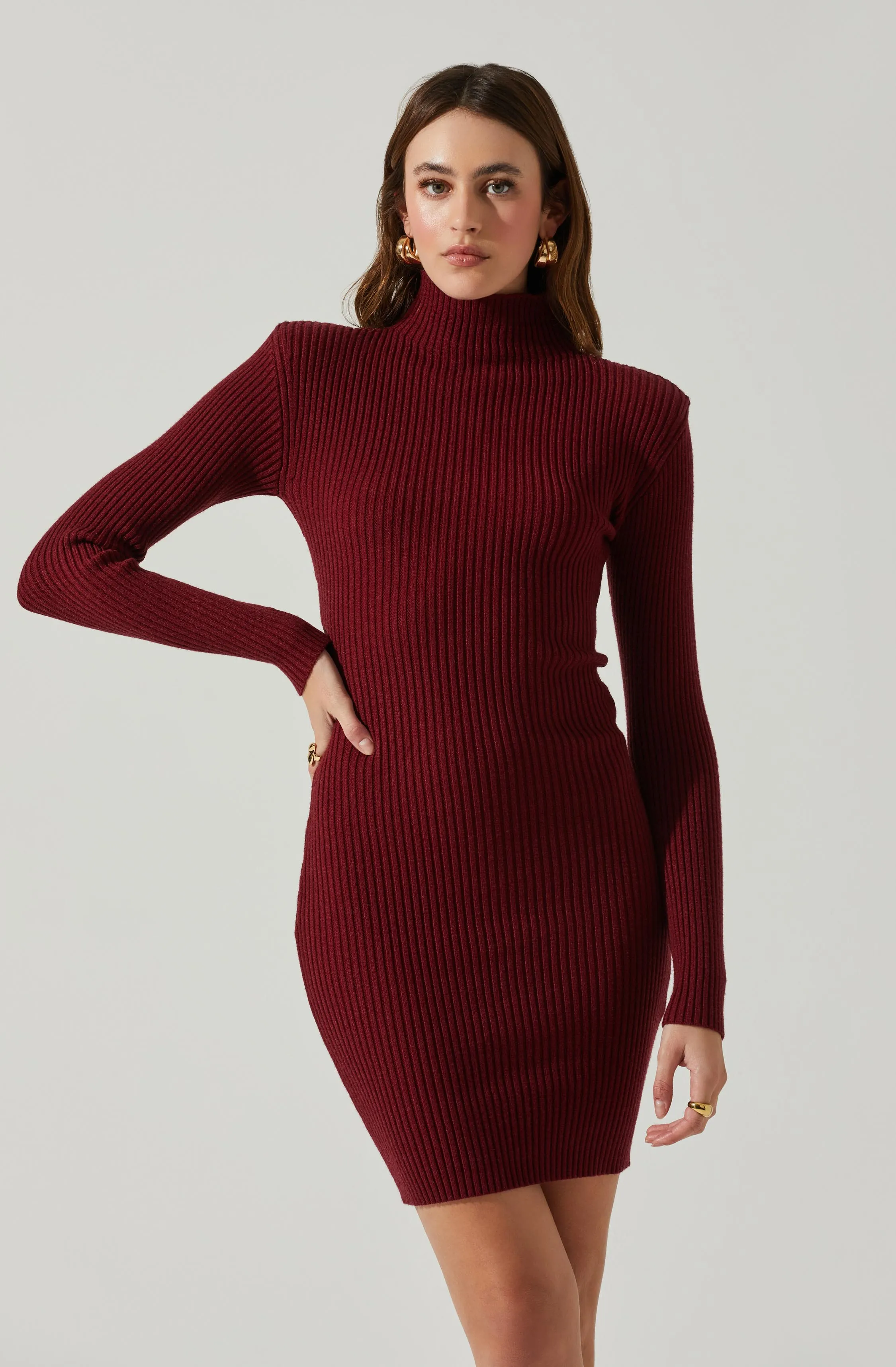 Gwendolyn Turtleneck Sweater Mini Dress